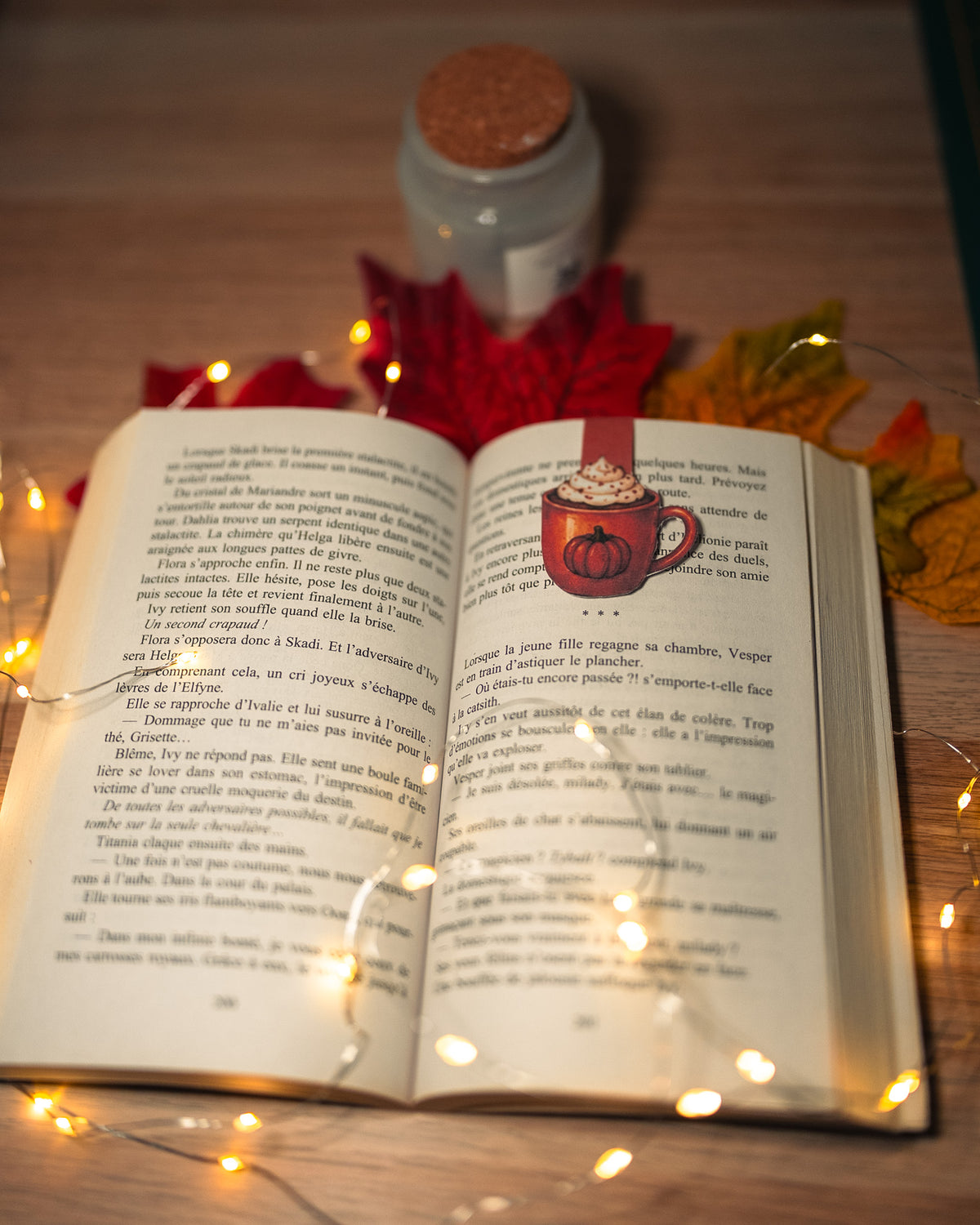 Duo Pumpkin Spice - Marque-page magnétique & classique