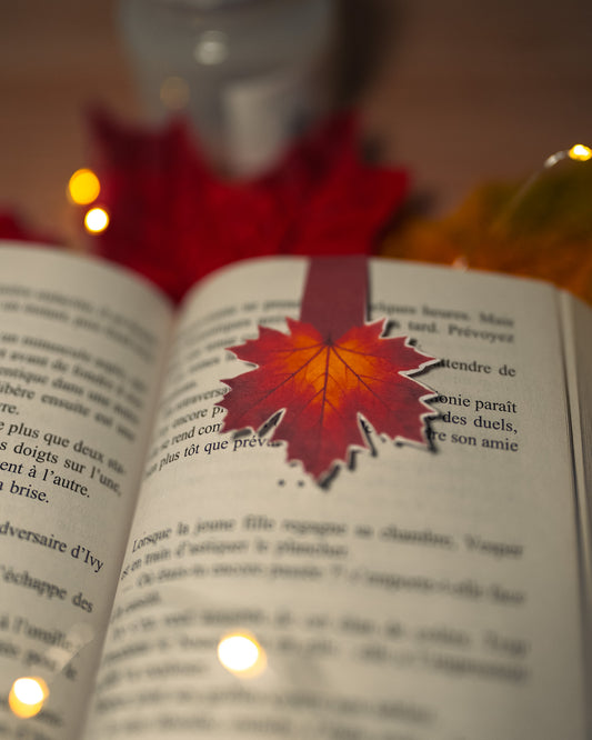 Marque-page magnétique Envol d'Automne