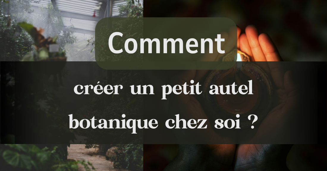 Comment créer un petit autel botanique chez soi ? 🌿🕯️