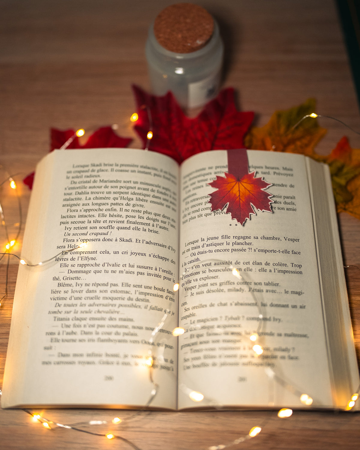 Duo Fall Leaves - Marque-page magnétique & classique
