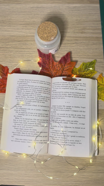 Marque-page magnétique Pumpkin Spice