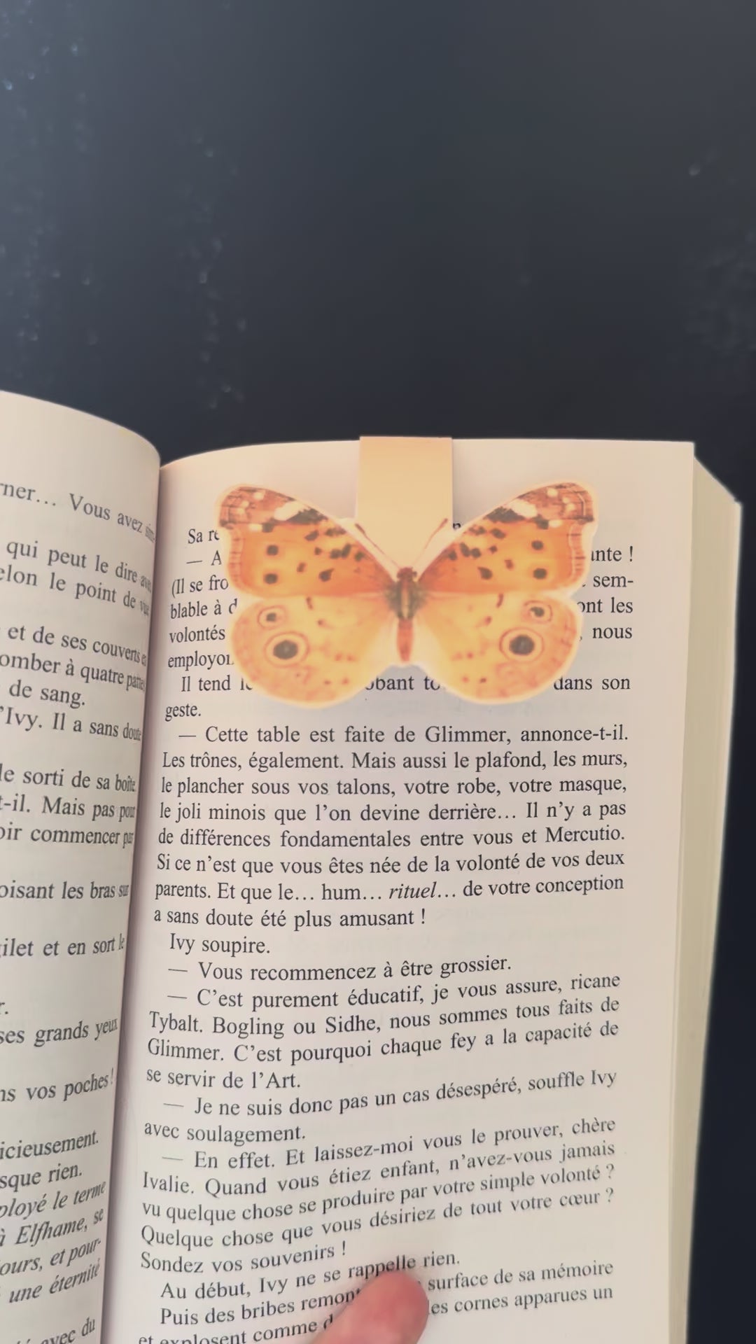 Gentle Metamorphosis — Marque-page Magnétique Papillon