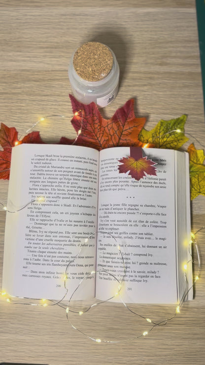 Marque-page magnétique Envol d'Automne